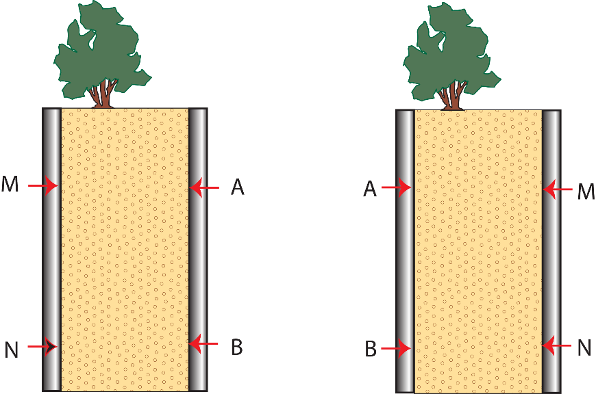 Figure showing reciprocal measurements