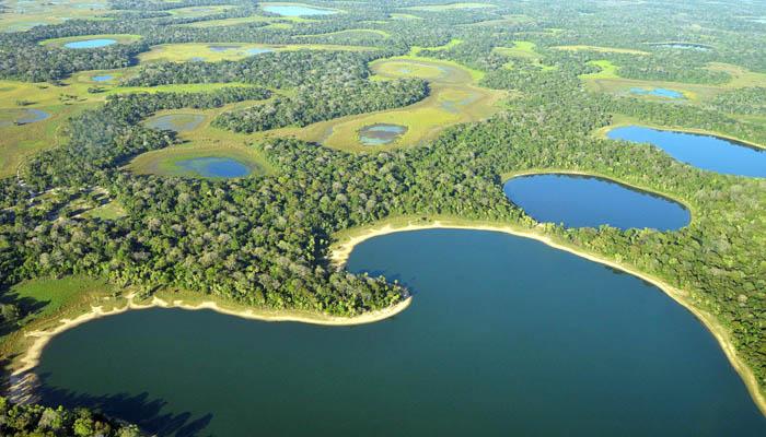 Pantanal Mato-Grossense National Park