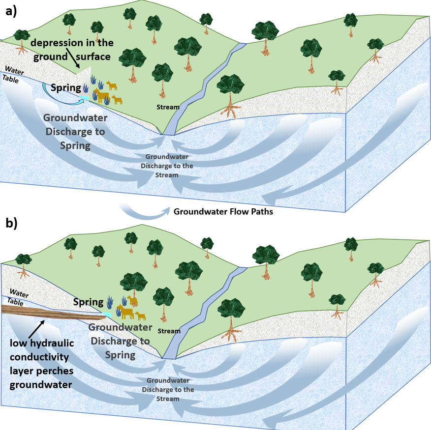 Water Springs Diagram