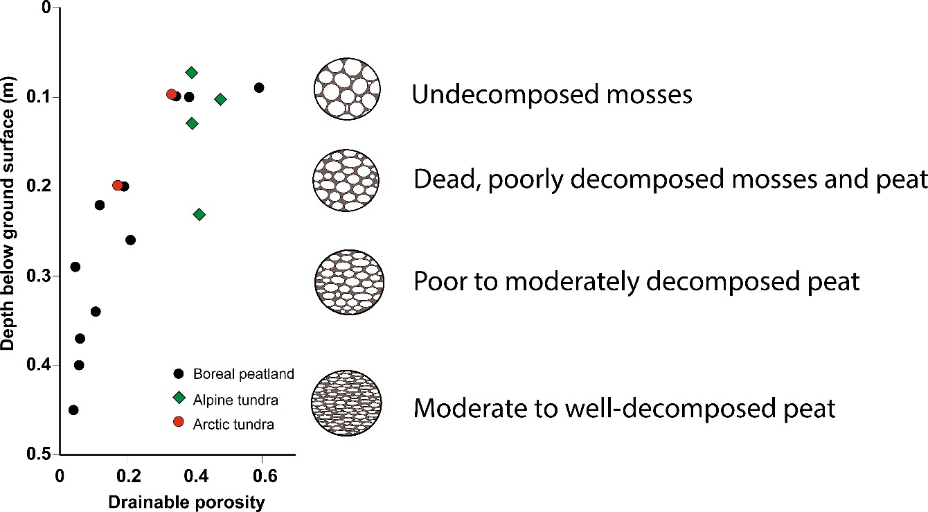 Variation of drainable porosity (ϕd) with depth below the ground surface based on measurements made on discrete peat samples representing a range of depths (modified from Quinton et al., 2008).