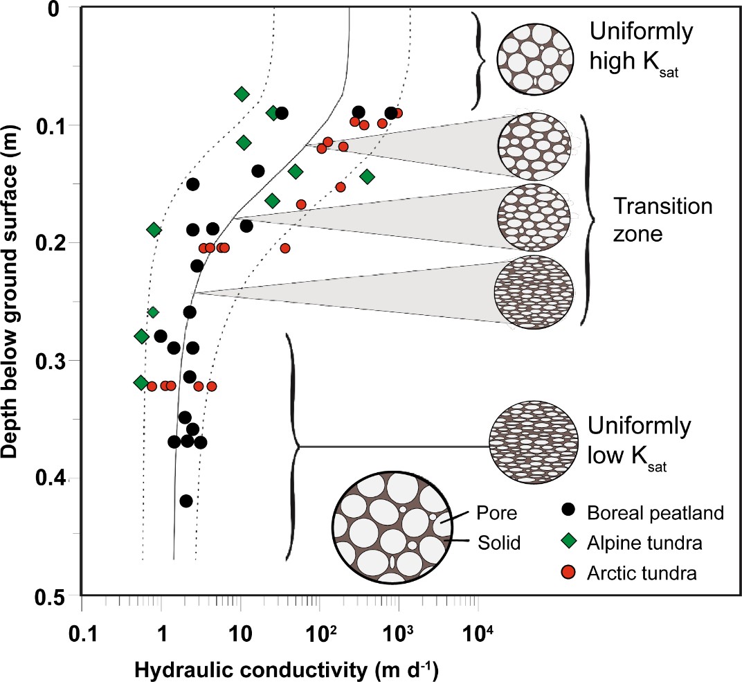Saturated hydraulic conductivity of peat overlying permafrost from boreal peatlands (Quinton et al., 2008), alpine tundra (Quinton et al., 2004), and arctic tundra (Quinton et al., 2000)