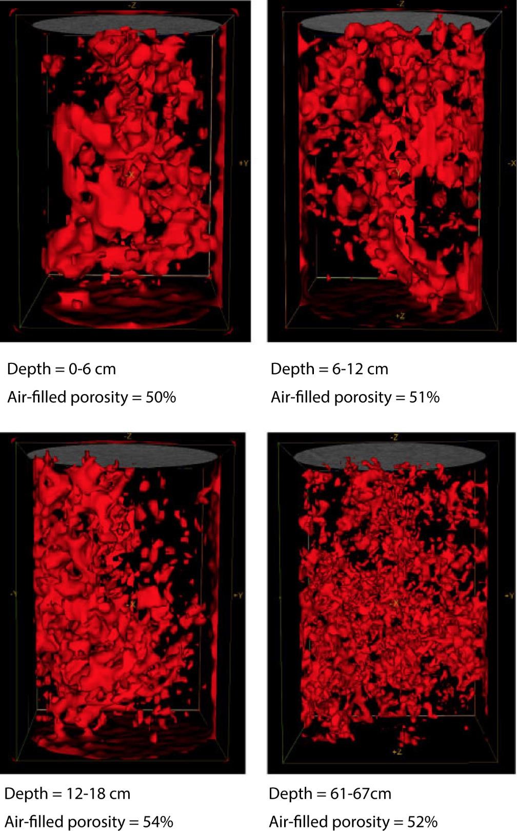 Visualization of air-filled porosity (in red) of peat samples at increasing depth, all at ψ = -40 cm. In each 6-cm diameter core the total number of air-filled pores increased with depth from 7,956 to 13,267 to 15,041 and finally to 39,812 (Modified from Rezanezhad et al., 2010)