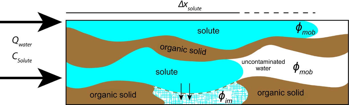 Two pores within a peat without (top) and with (bottom) an immobile porosity. Blue represents pore water with dissolved solute, white represents pore water with zero concentration of solute, and brown represents organic matter. Both pores have the same input concentration (Csolute).