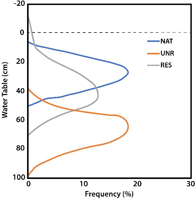 Water table depth frequency at a natural bog site (NAT), a drained unrestored site (UNR), and a restored site (RES). For the natural and unrestored sites, the surface (dashed line) is at 0 cm. For the restored site, at which a ~15 cm layer of moss had regenerated, the interface between the cutover surface and regenerated moss is also shown at 0 cm; the regenerated moss occurred above that (Based on data from McCarter and Price, 2013).