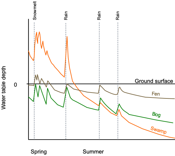 Diagram of water table depth over seasons