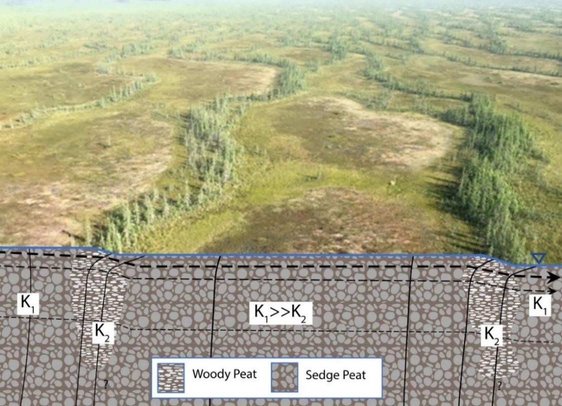Ridges (with trees) and flarks (open) in a moderate-rich fen. Peat stratigraphy and genesis (plant type) is distinct between ridges (woody, Sphagnum, and sedge) and flarks (sedge)