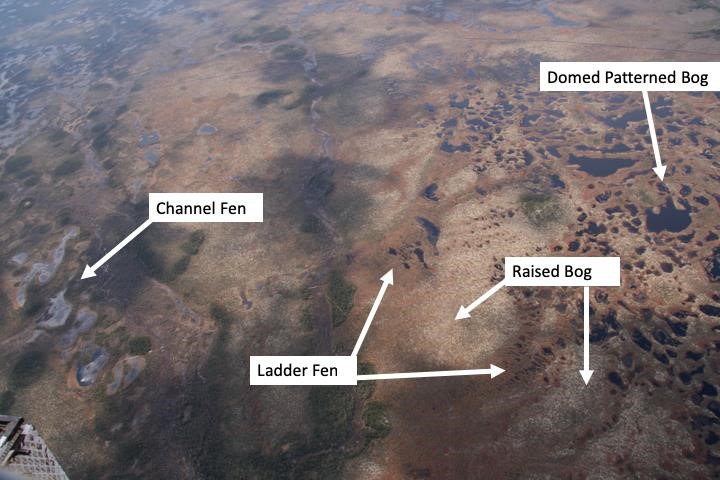 Peatland complexes are assemblages of individual peatlands, where local hydrological and topographical gradients drive the exchange of water and nutrients among them