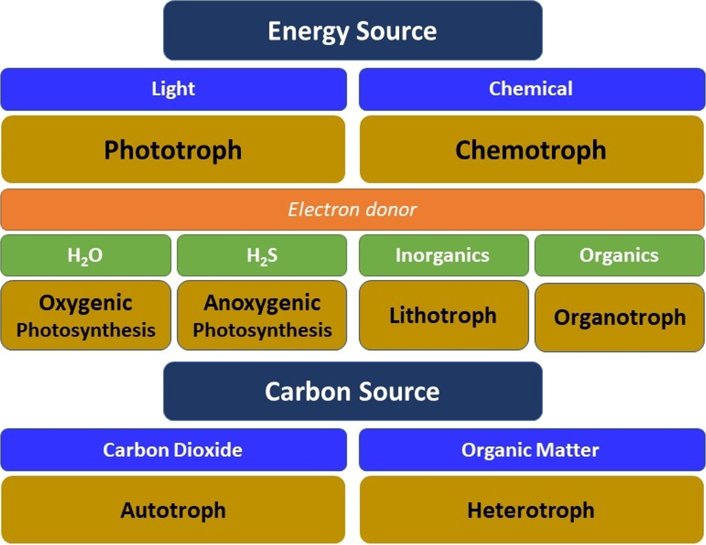 2-4-metabolic-groups-groundwater-microbiology