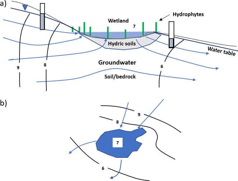 Schematic showing a wetland dominated by flow-through groundwater conditions