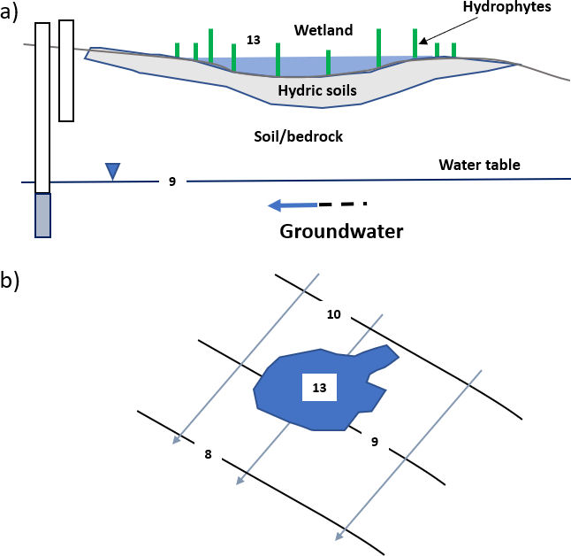 Schematic cross section and map view of a disconnected wetland