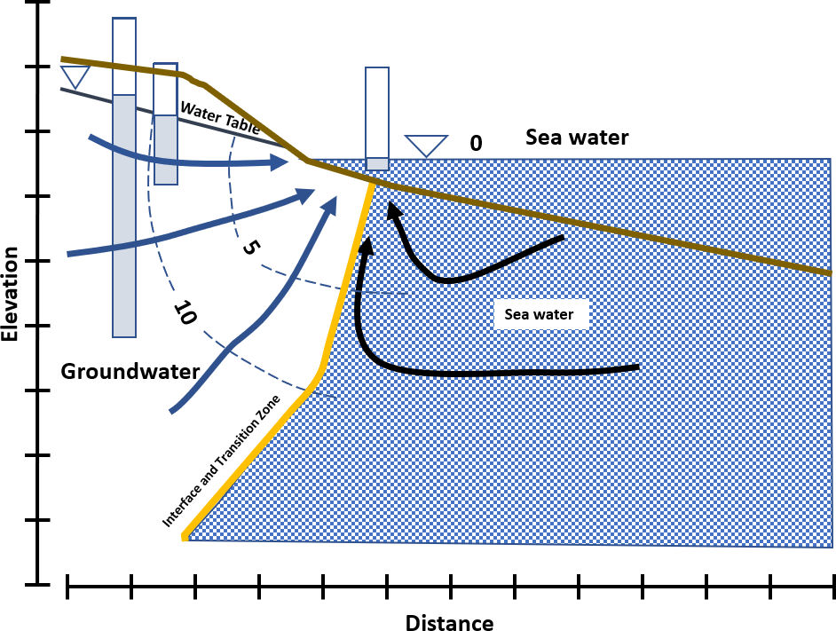 Figure showing conceptual model of groundwater effluent conditions along a coastline under steady-state, isotropic and homogeneous conditions