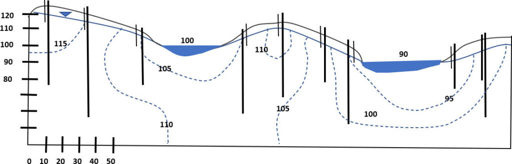 Scaled cross section of a hydrologically isotropic and homogeneous system with two water bodies