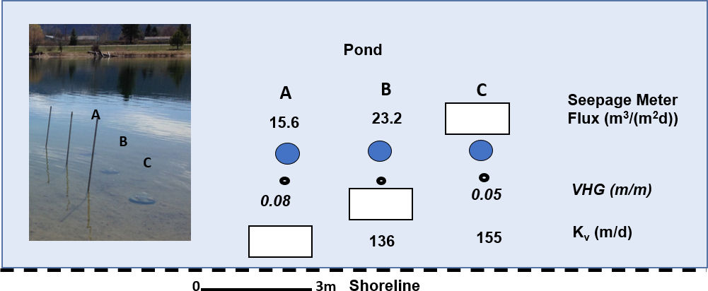 Figure showing an exchange study at a pond constructed in a sand and gravel aquifer