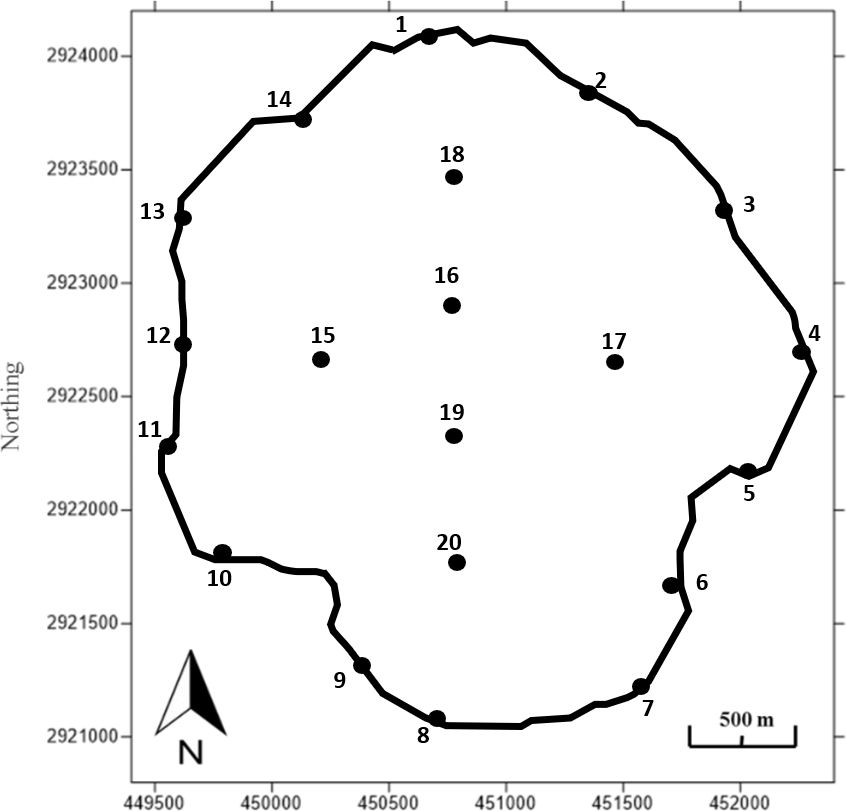 Location map of seepage meter and mini-piezometer installations in a lake