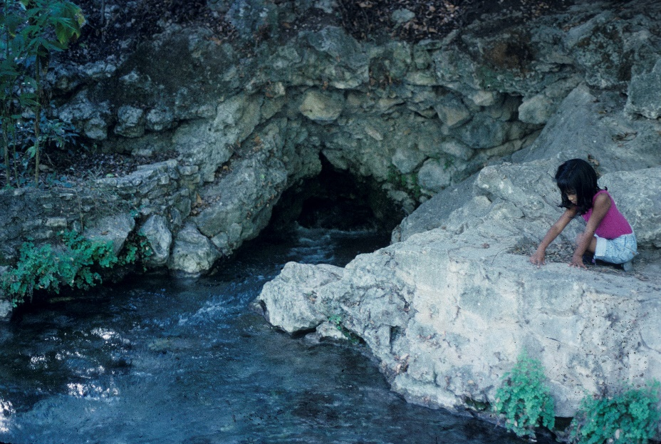 image of Comal Spring 1